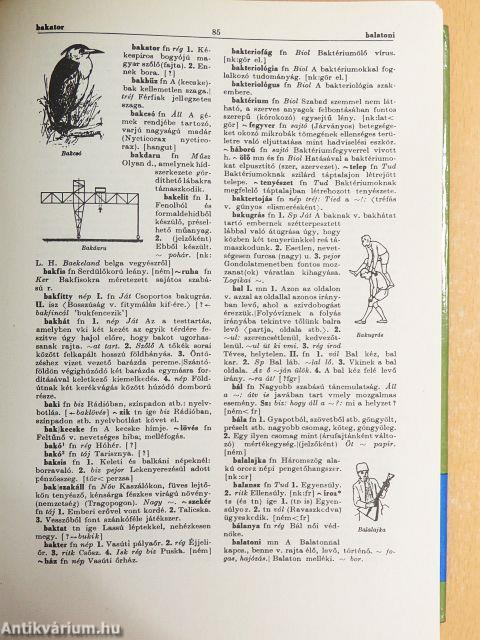 Magyar értelmező kéziszótár I-II.