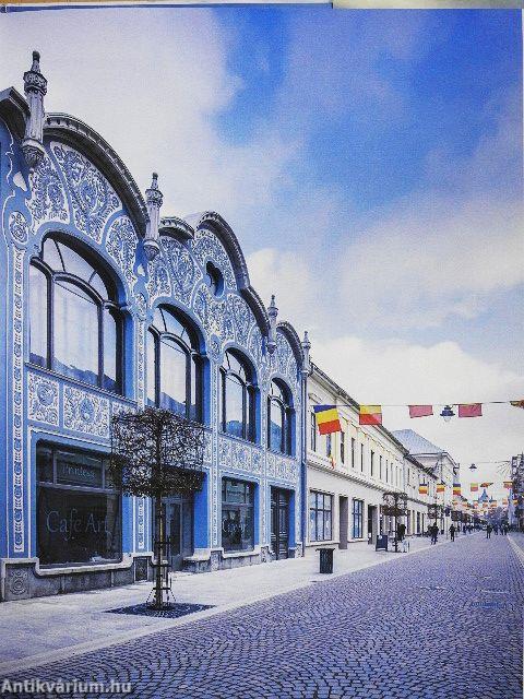 A nagyváradi paloták története II.