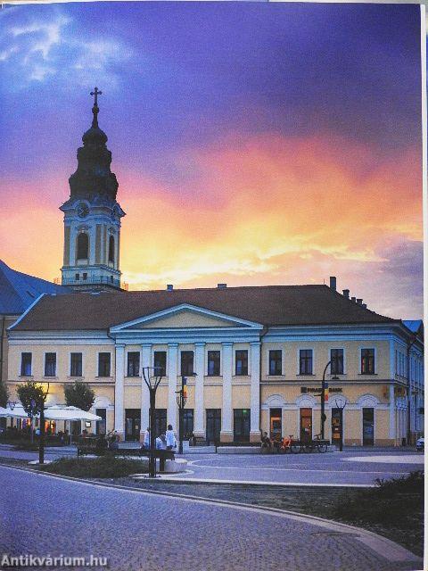 A nagyváradi paloták története II.