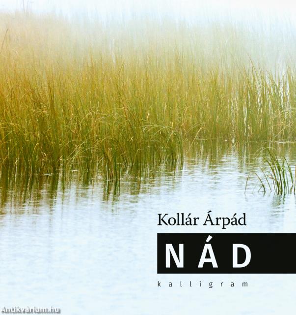 Nád