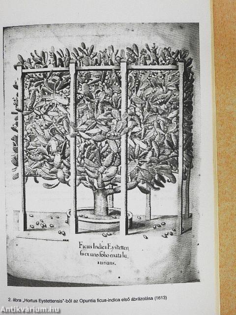 Debreceni pozsgás-tár 2000/1-4.