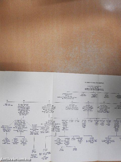 A Forsyte-Saga 1-2./Modern komédia 1-2.