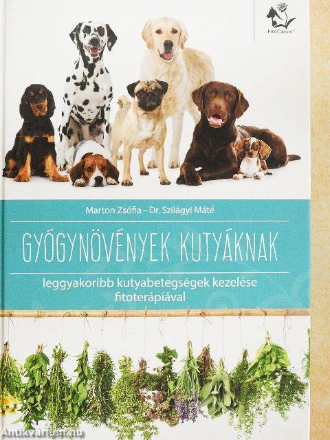 Gyógynövények kutyáknak