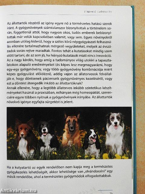 Gyógynövények kutyáknak