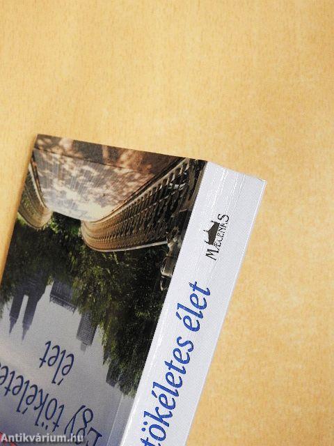 Egy tökéletes élet