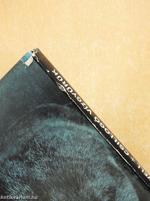 Csillogó vízgyűrűk