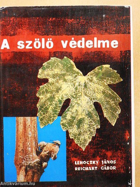 A szőlő védelme