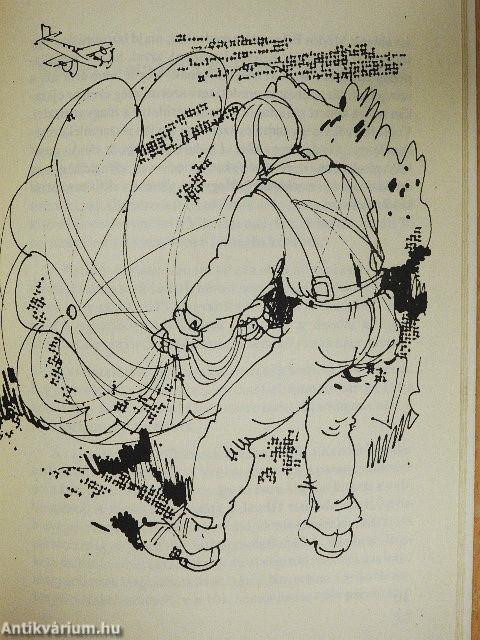 A Vihorlát erdeiben