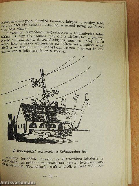 Nagyvázsony és környékének útikalauza