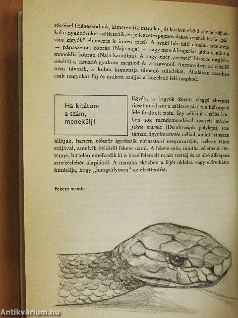 Kígyók