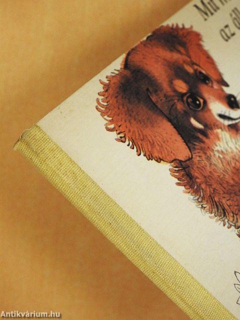 Mit mondanak az állatok