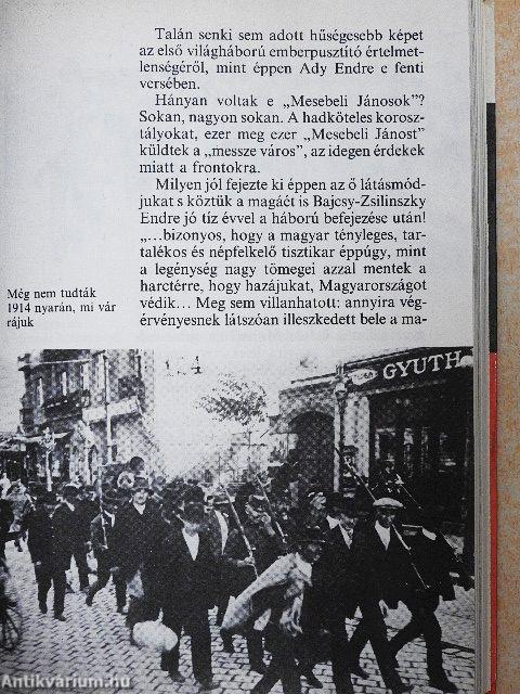 Így élt Bajcsy-Zsilinszky Endre