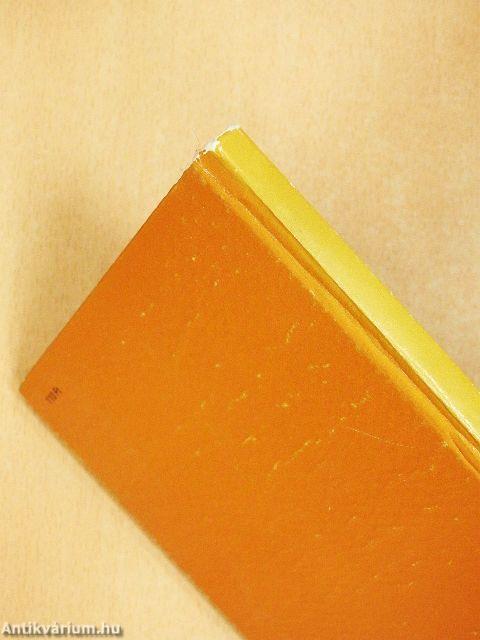 Theológiai antropológia dióhéjban