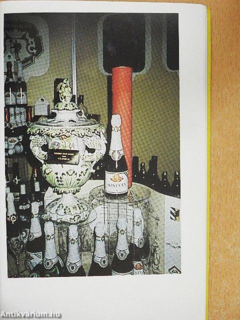 A borbírálat szókincse