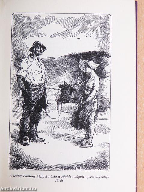 "35 kötet a Zola összes művei sorozatból (nem teljes sorozat)"