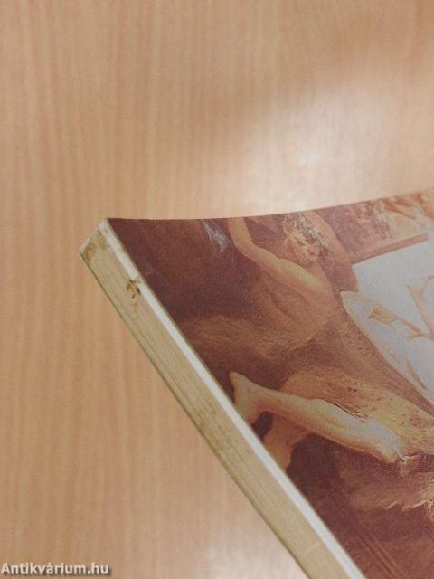 A borbírálat szókincse