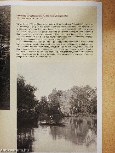 Rubicon 2022/1. Különszám