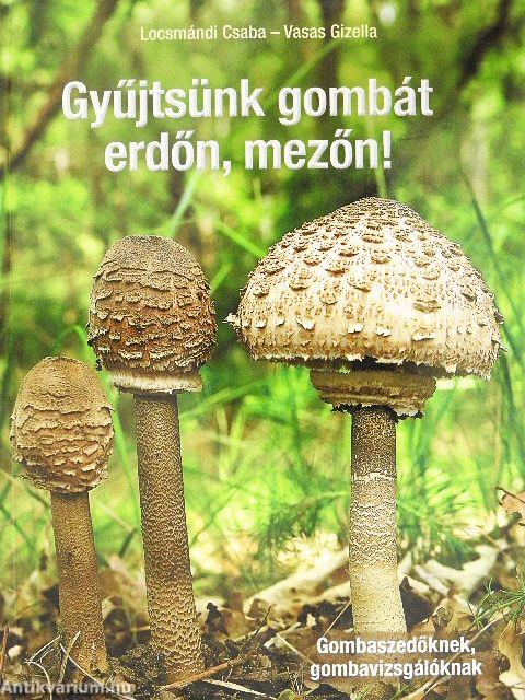 Gyűjtsünk gombát erdőn, mezőn!