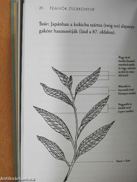 Teaivók zsebkönyve