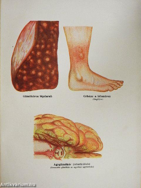A Család egészsége