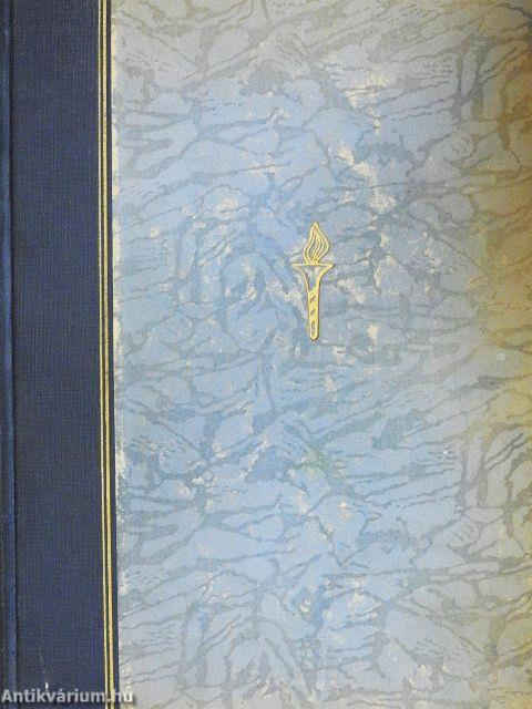 A magyar festészet forradalmárai