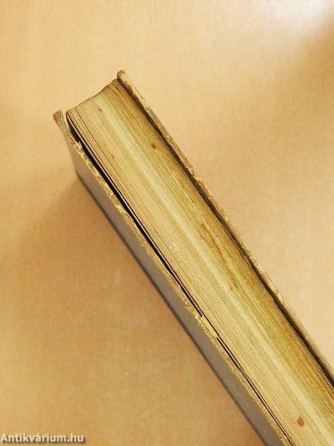 A magyar festészet forradalmárai