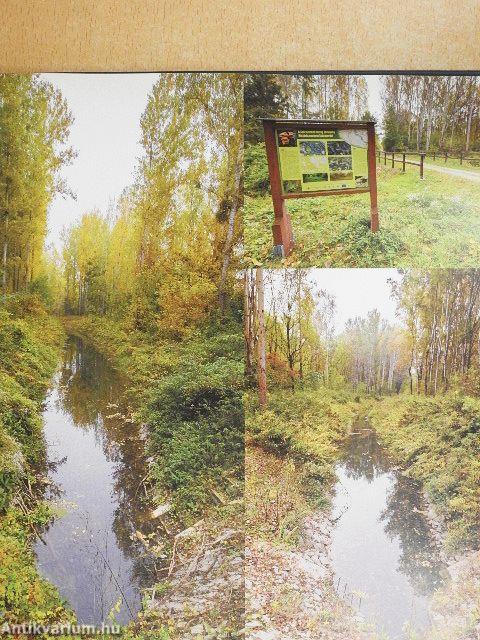 A 850 éves Dunakiliti értéktára