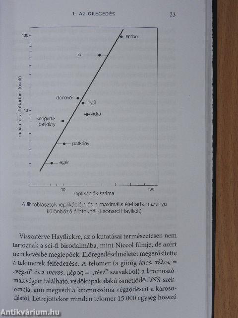 Az aktív időskor művészete