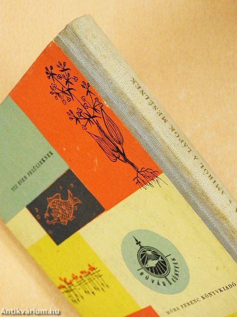 Amiről a lápok mesélnek