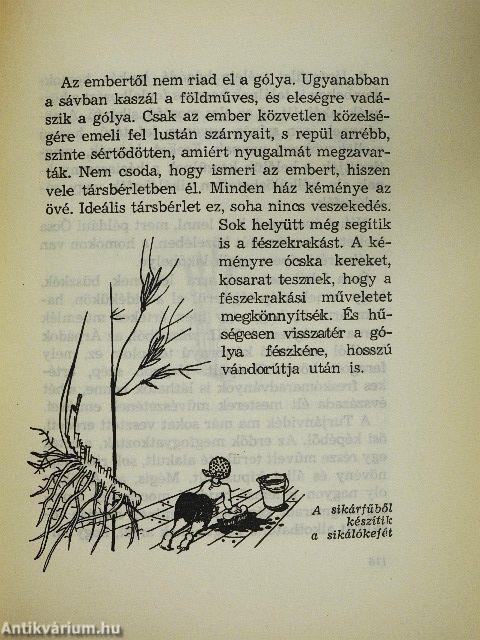 Amiről a lápok mesélnek