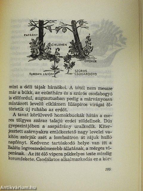 Amiről a lápok mesélnek