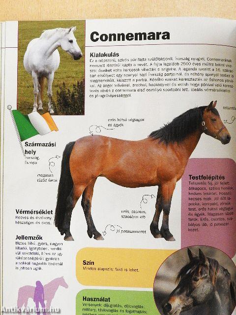 Lovak a nagyvilágban