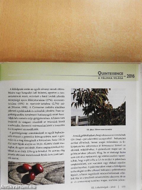 A pálinka világa - Quintessence - 2016