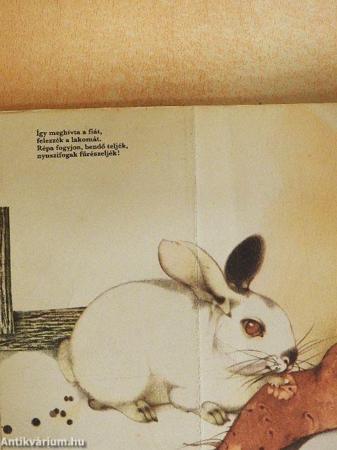 Egy udvarnak sok lakója