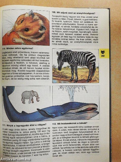 Minden napra egy kérdés