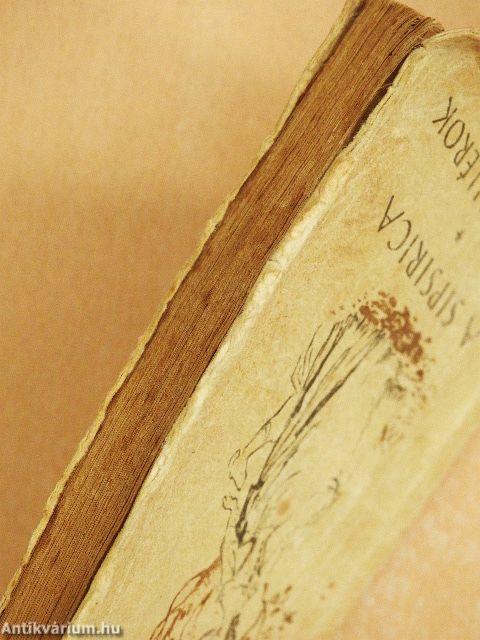 A sipsirica/A gavallérok