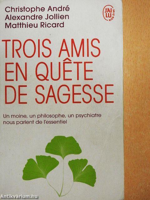 Trois amis en quete de sagesse