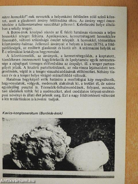 Ipolytarnóc - Ősmaradványok