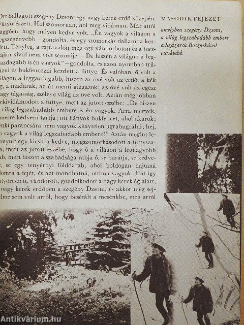 Szegény Dzsoni és Árnika