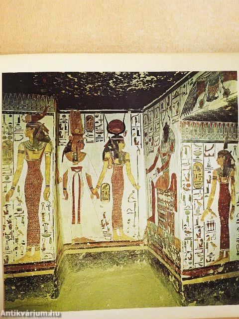 Miért fest az ember