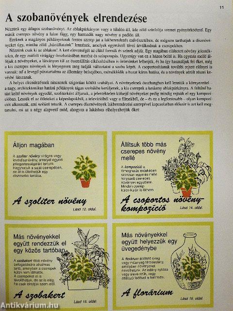 Szobanövények