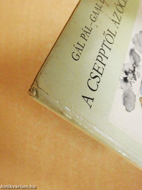 A csepptől az óceánig