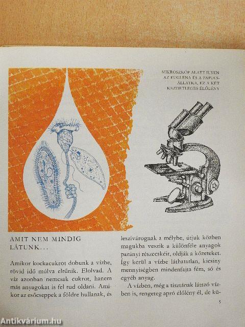 A csepptől az óceánig