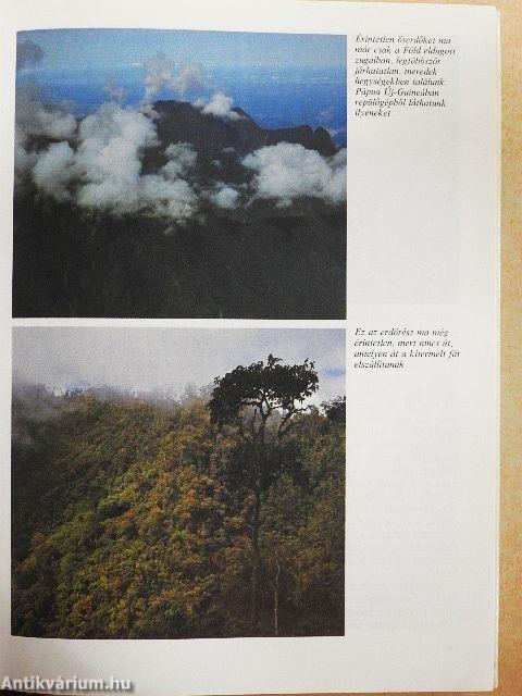 A megsebzett bolygó