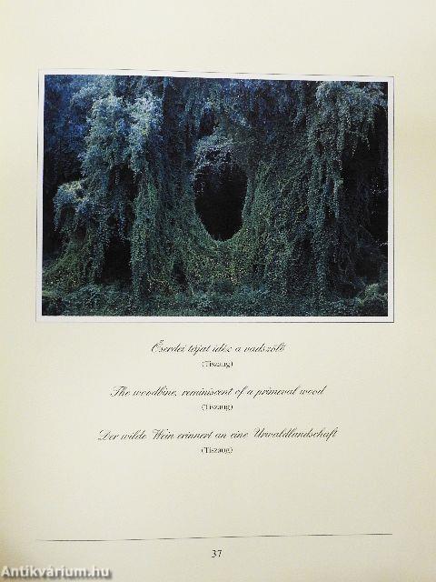 Színek - fények - Magyarország - CD-vel