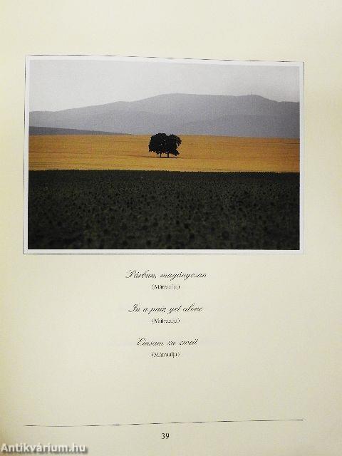 Színek - fények - Magyarország - CD-vel