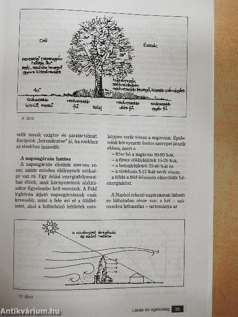 Lakás és egészség