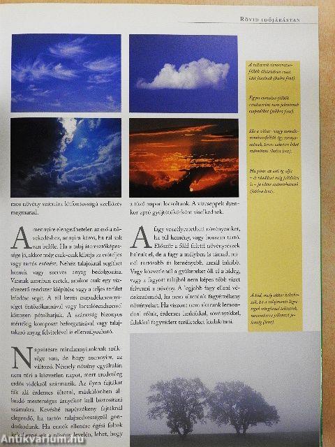 A praktikus kerti naptár