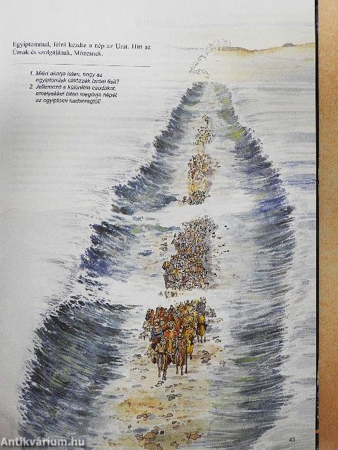 Üzenet Istentől Neked