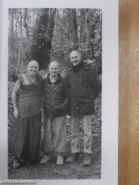 Trois amis en quete de sagesse